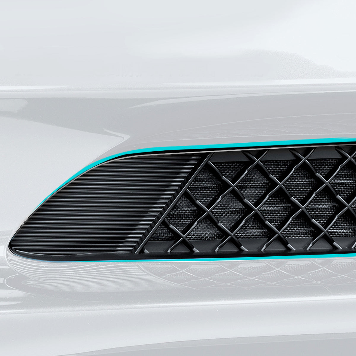 Front Grille Mesh Radiator Cover Guard (Model Y)